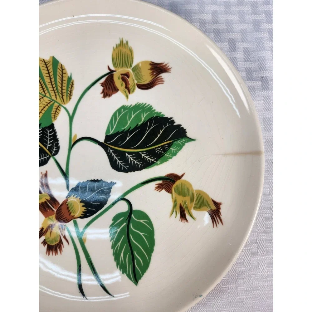 Ballerina China Hazelnut Potteries Leaves & Nuts Set of 8 Dinner Plates